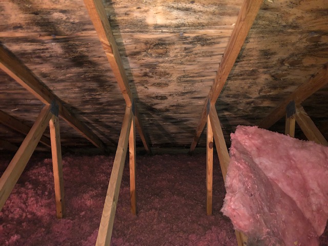 Attic Before Treatment