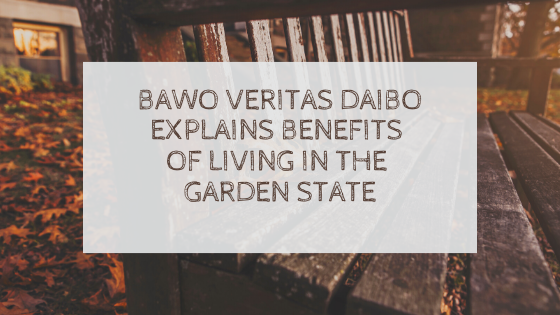 Bawo Daibo Veritas