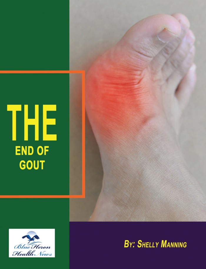 The-End-of-Gout-Cover-scaled_smaller-