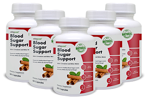 blood-sugar-support-price-bottle-5