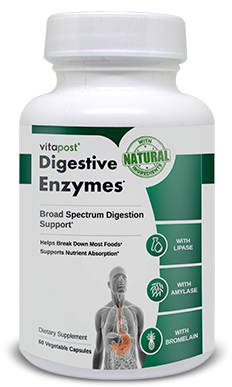 Digestive Enzymes 