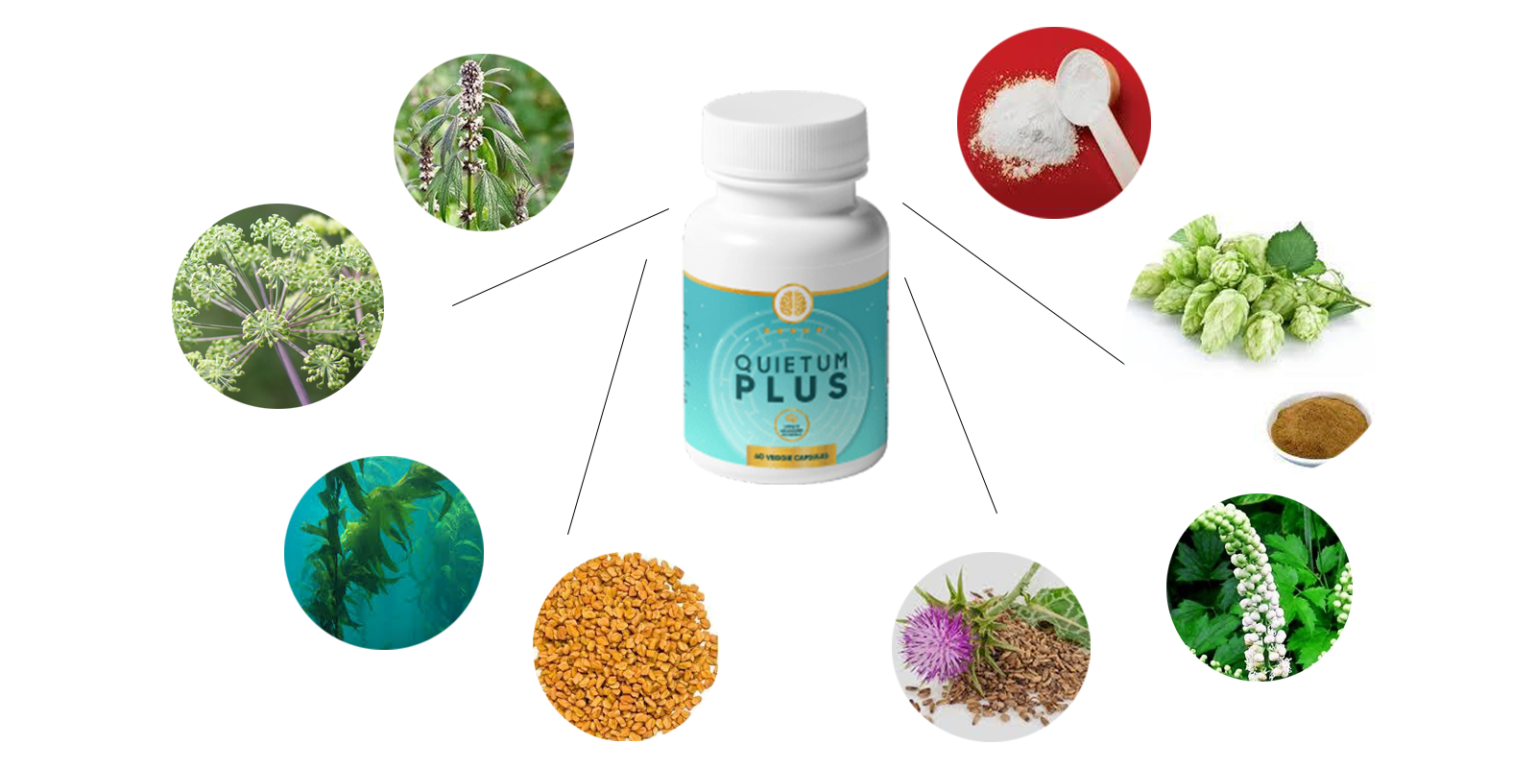 Quietum-Plus-ingredients-1536x768