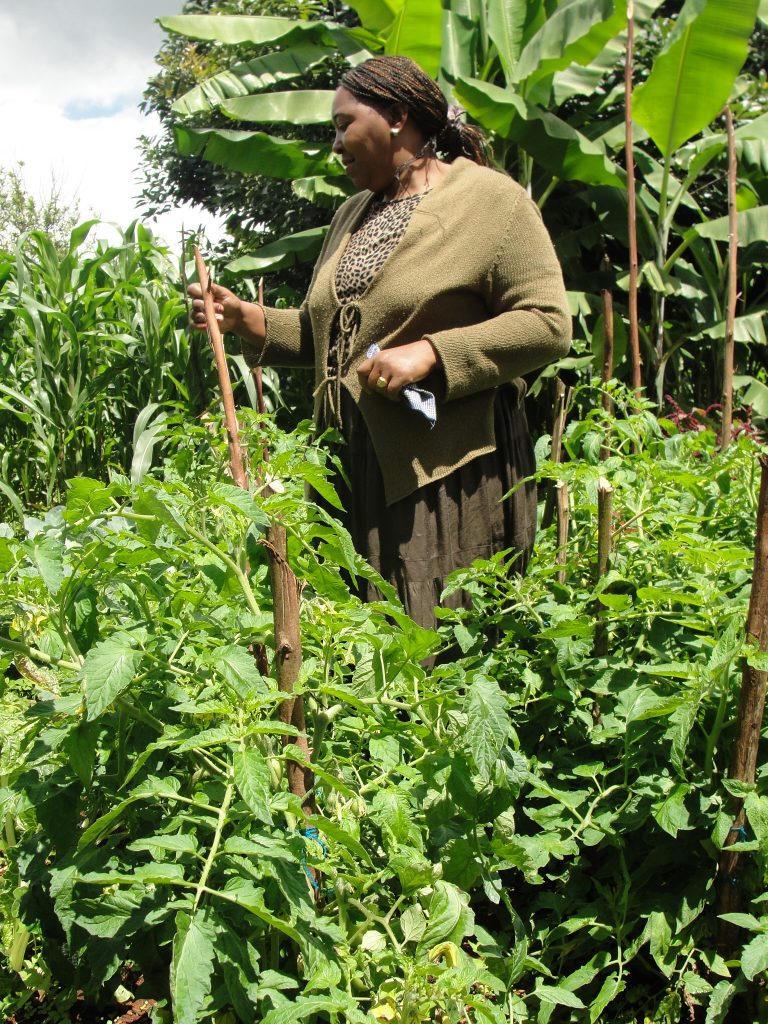 Farmers-such-as-Peris-Wanjiku-continue-to-battle-climate-related-risks-at-a-more-frequent-and-intense-rate.-Photo-Joyce-Chimbi-768x1024