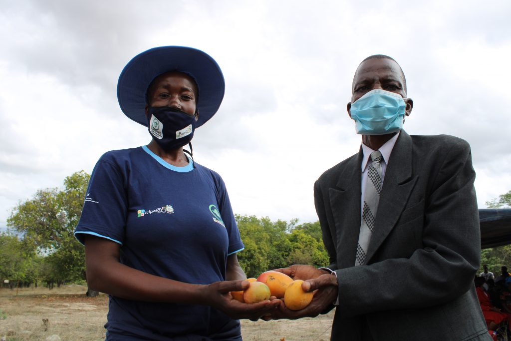 Mango-growers-Susan-and-Batsirai-Zinoro-from-Mutoko-District-Zimbabwe-who-are-using-Integrated-Pest-Management-methods-to-control-fruit-fly-credit-Busani-Bafana-IPS-1024x683