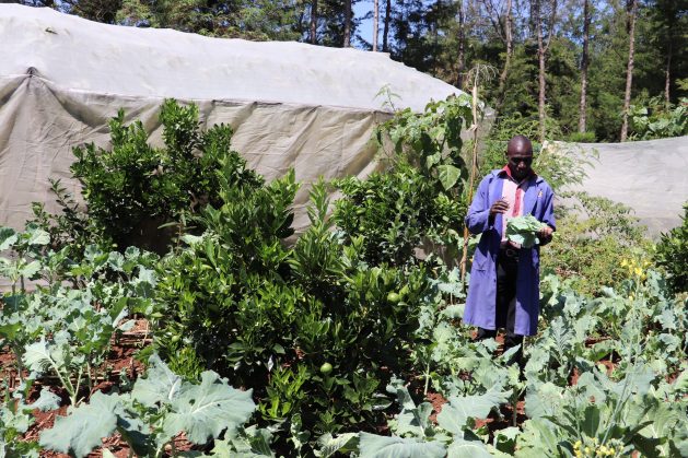 Samson-Tanui-on-his-permaculture-unit-in-Eldoret-629x419