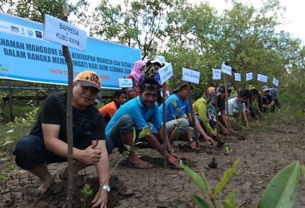 Sungai-Nibung-village-chief-Syarif-Ibrahim-second-from-left-leads-by-action-in-planting-mangrove-trees-in-Kubu-Raya-regency-West-Kalimantan-province.-1-629x429