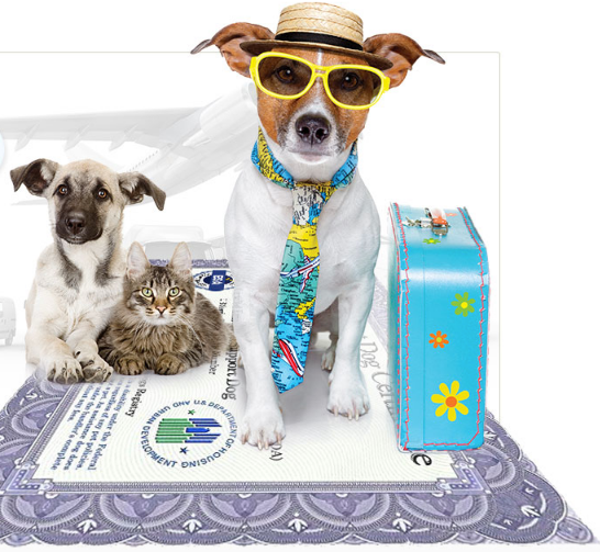 American-Service-Pets-reviews