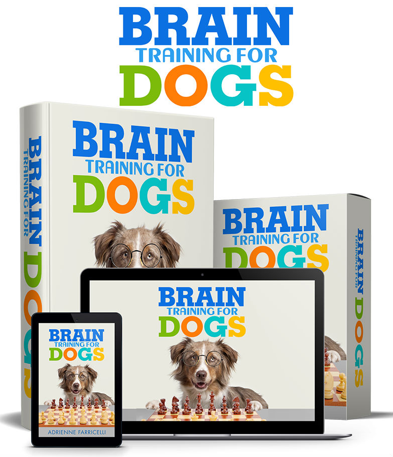 Brain Traning for dogs