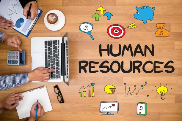 7 Best HR Tools Every Company Needs to Improve Their Workflow