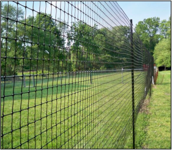An Elegant Poly Deer Fence: Your Love for Deer Must Have Boundaries ...