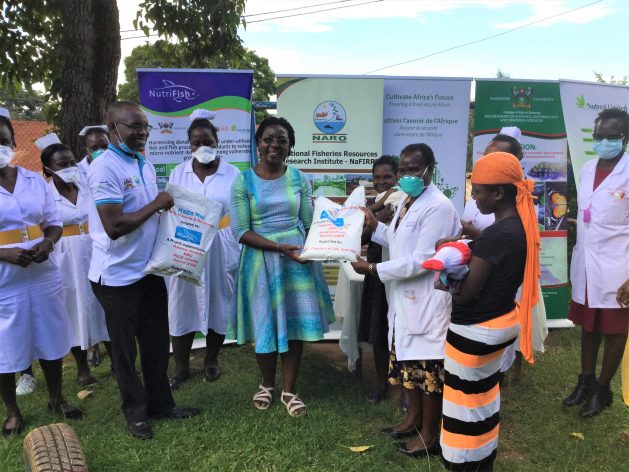 A-nutrition-enhanced-maize-meal-suitable-for-breastfeeding-mother-has-been-developed-by-the-NutriFish-project-and-donated-to-hospitals-in-Uganda-photo-credit-Nutrifish-629x472