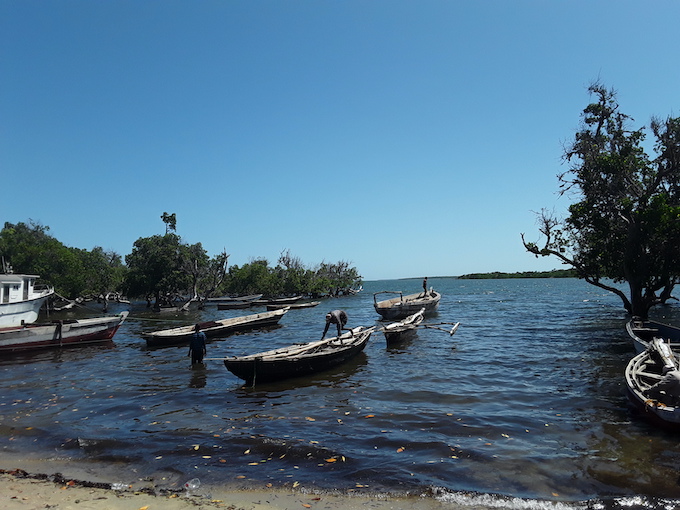 Countries-with-a-coastal-blue-carbon-ecosystems-are-increasingly-looking-into-the-ocean-for-climate-change-and-business-solutions.-Photo-Joyce-Chimbi