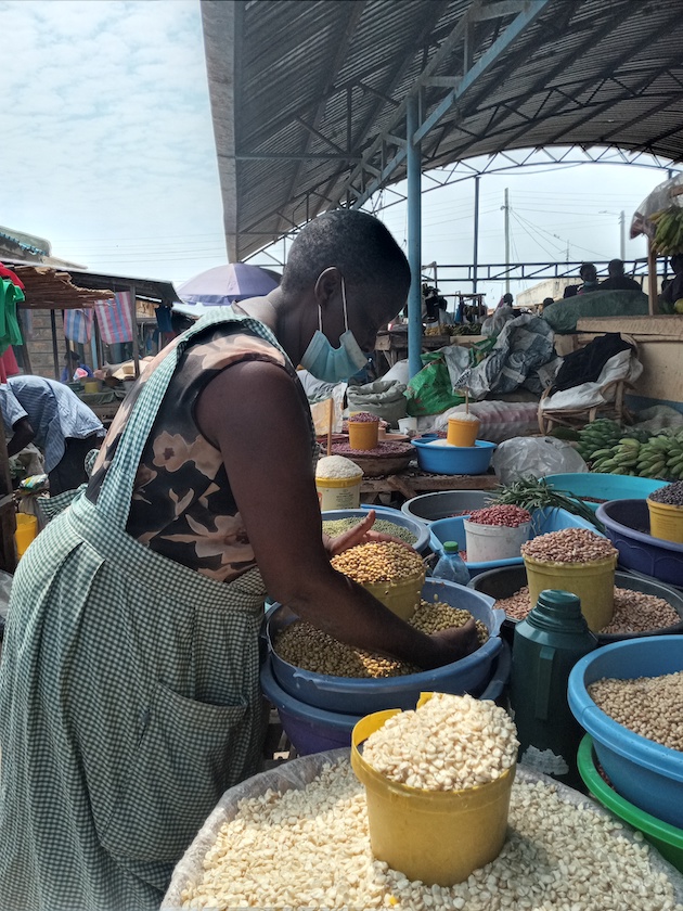 Maize-is-a-critical-food-security-crop-in-sub-Saharan-Africa-with-more-than-40-million-hectares-of-farmlands-dedicated-to-maize-farming-in-at-least-32-countries-.-Photo-Joyce-Chimbi
