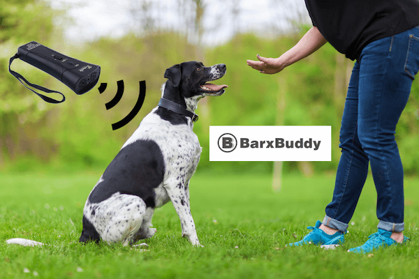 Barx-Buddy-Reviews