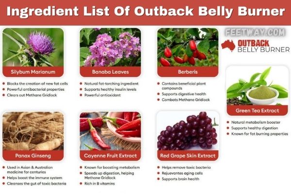 Outback Belly Burner ingredients