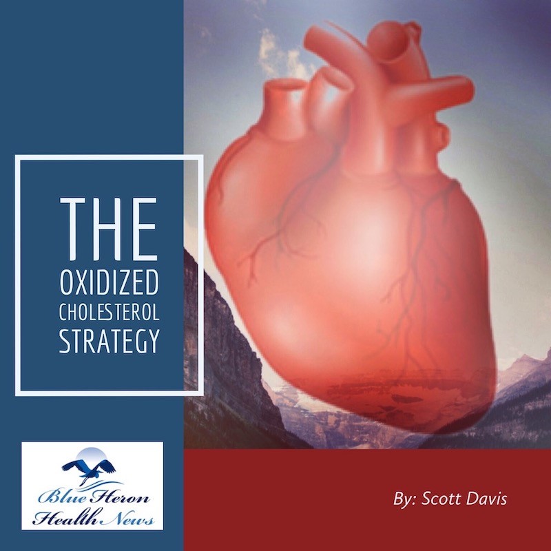 The-Oxidized-Cholesterol-Strategy